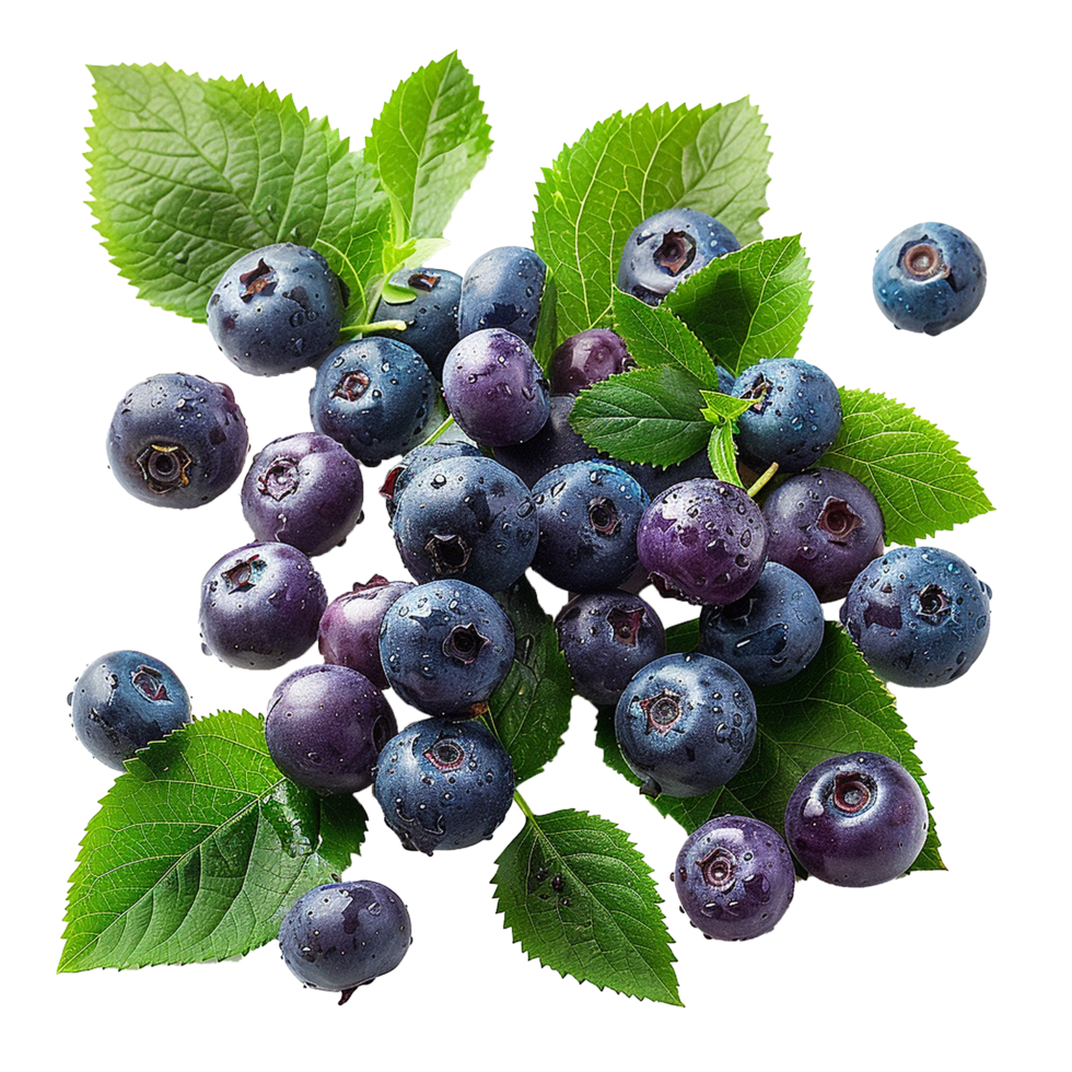 Fresh ripe bilberry and green leaf flying isolated on transparent background png