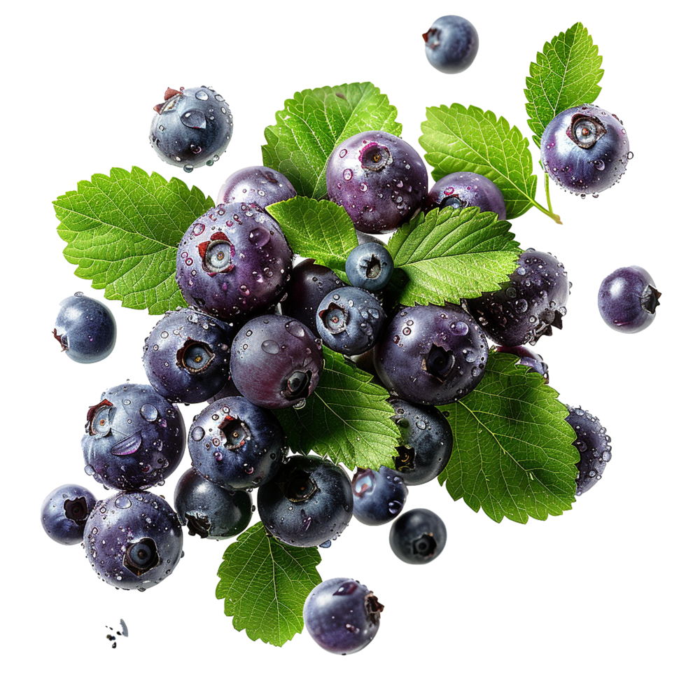 Fresh ripe bilberry and green leaf flying isolated on transparent background png