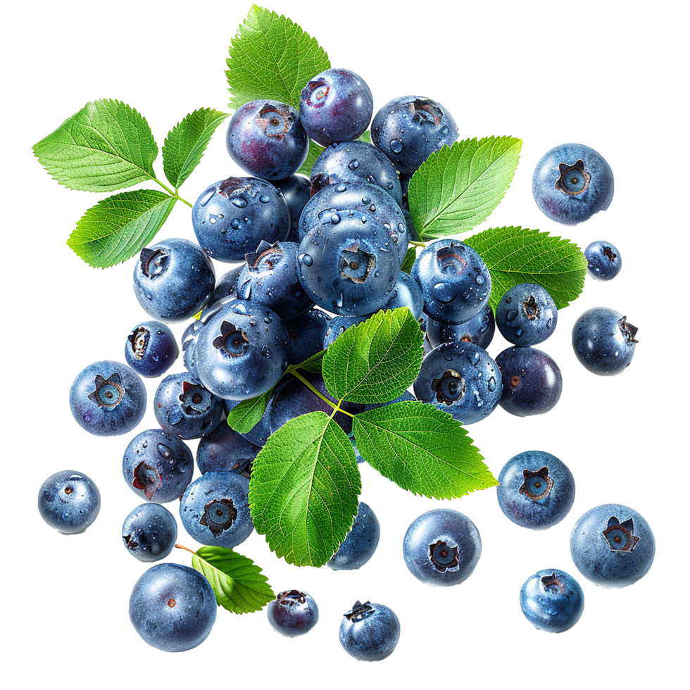 Fresh ripe bilberry and green leaf flying isolated on transparent background png