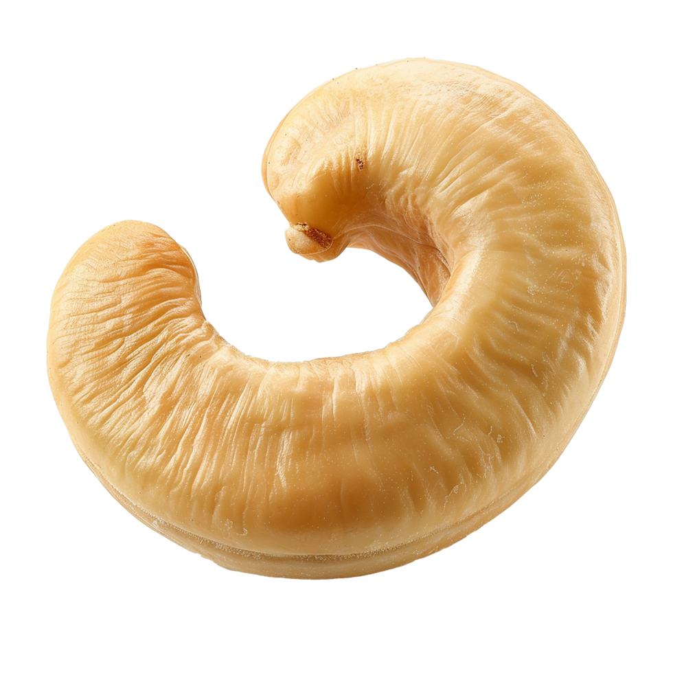 Caju cashew nut isolated on transparent background png