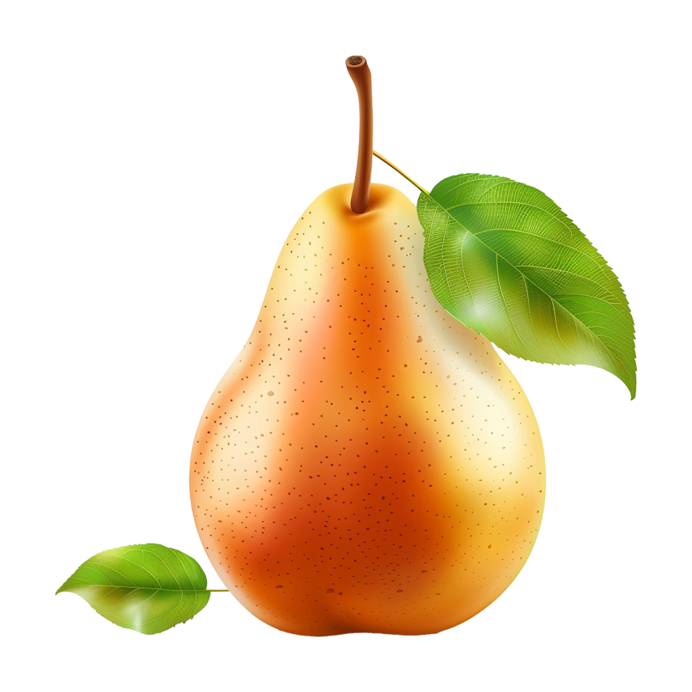 Pear fruit isolated on transparent background png