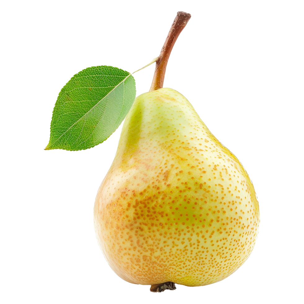 Pear fruit isolated on transparent background png