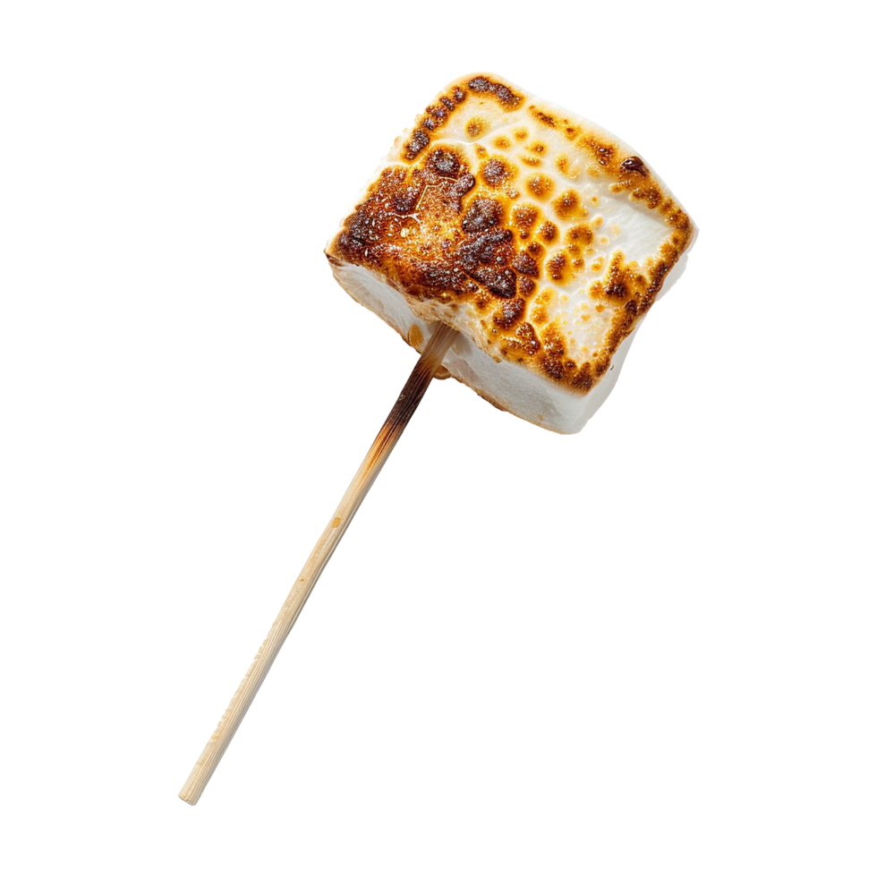 Toasted marshmallow on a stick isolated on transparent background png