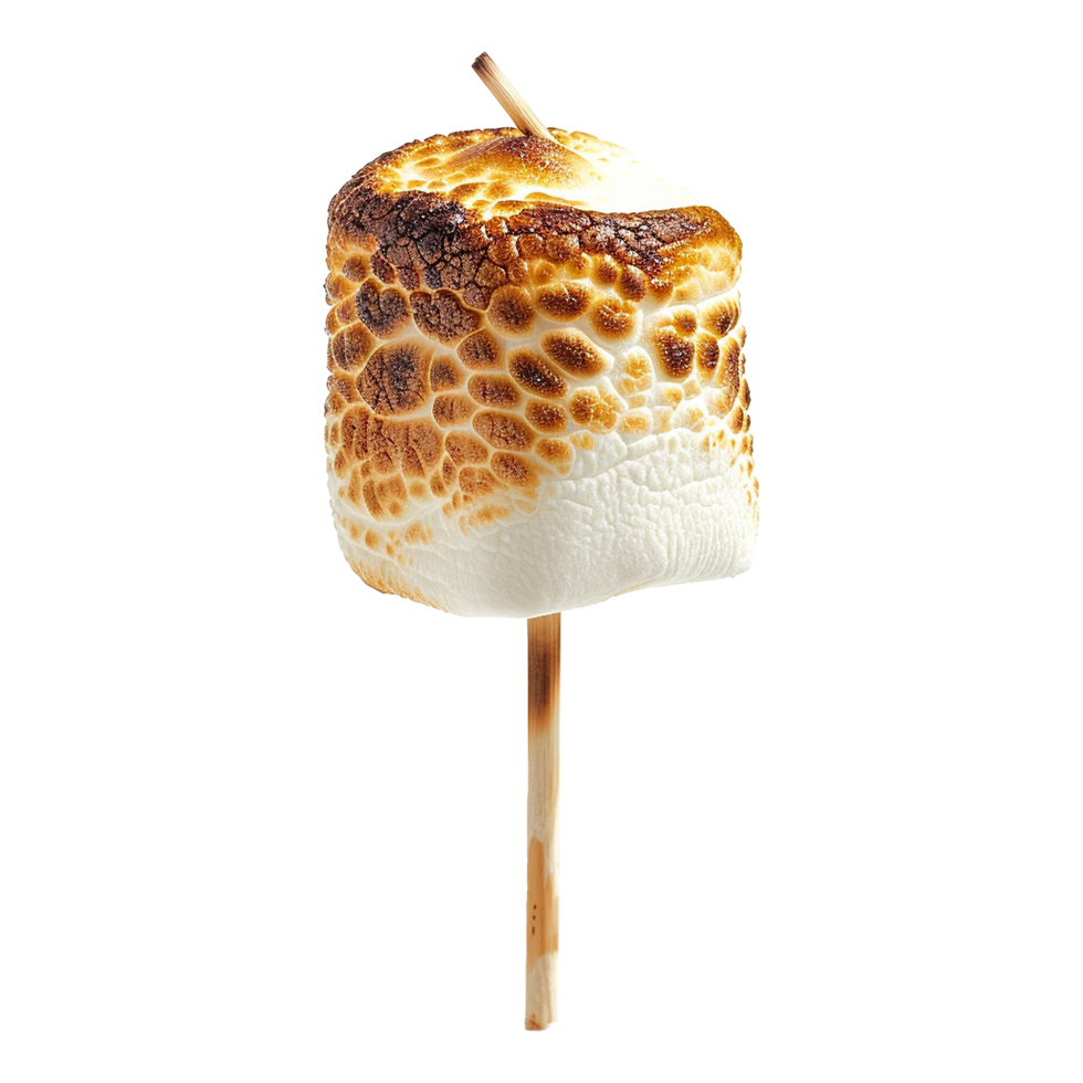 Toasted marshmallow on a stick isolated on transparent background png