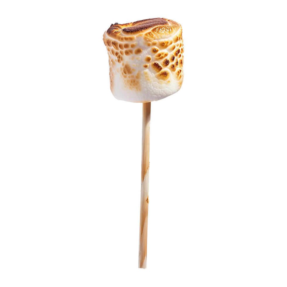 Toasted marshmallow on a stick isolated on transparent background png