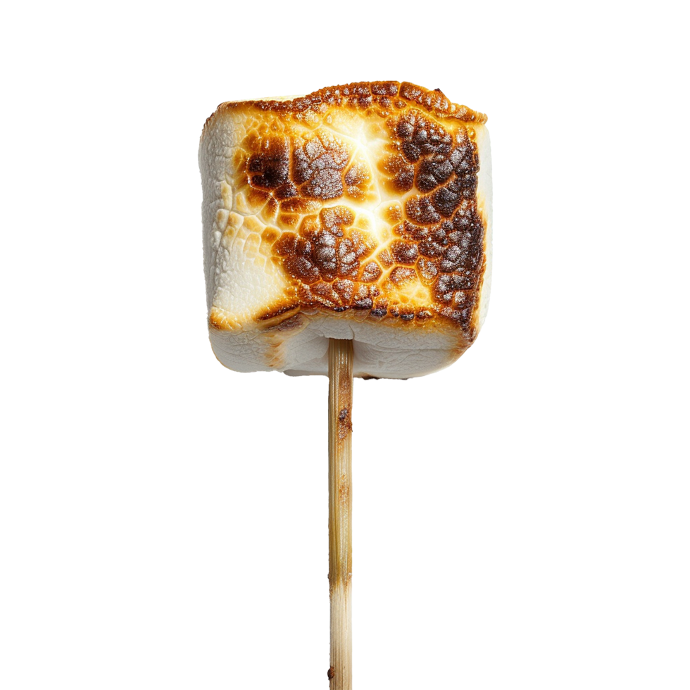 Toasted marshmallow on a stick isolated on transparent background png