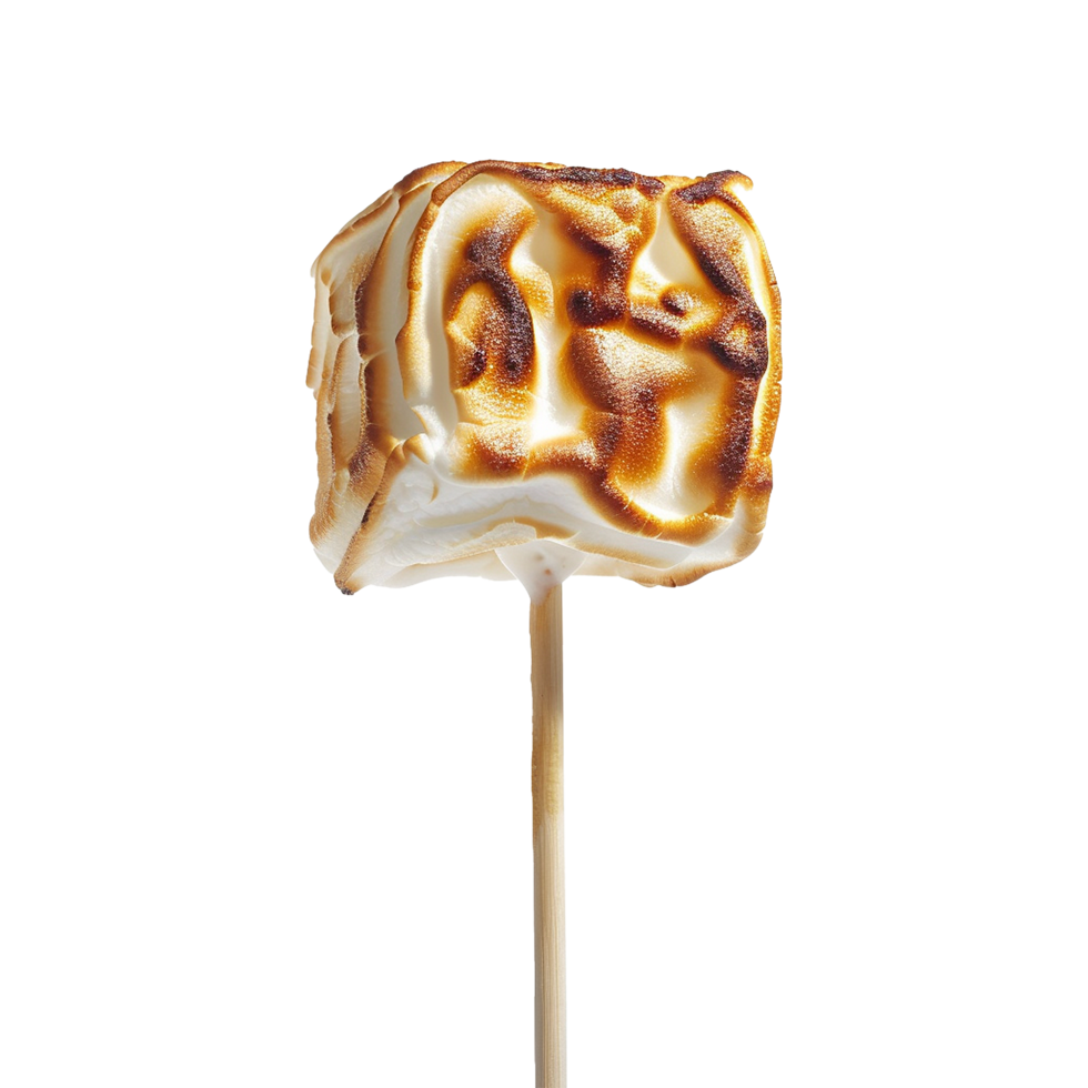 Toasted marshmallow on a stick isolated on transparent background png