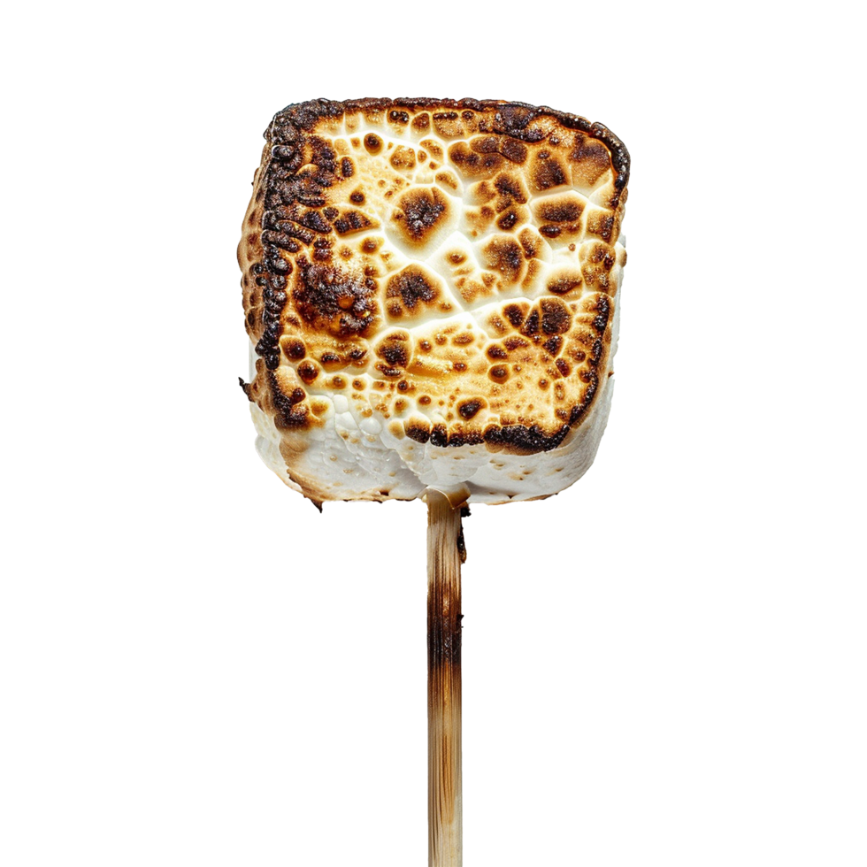 Toasted marshmallow on a stick isolated on transparent background png