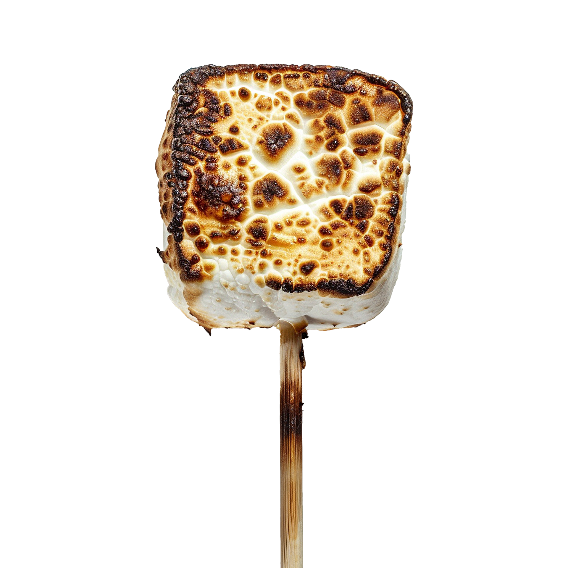 Toasted marshmallow on a stick isolated on transparent background