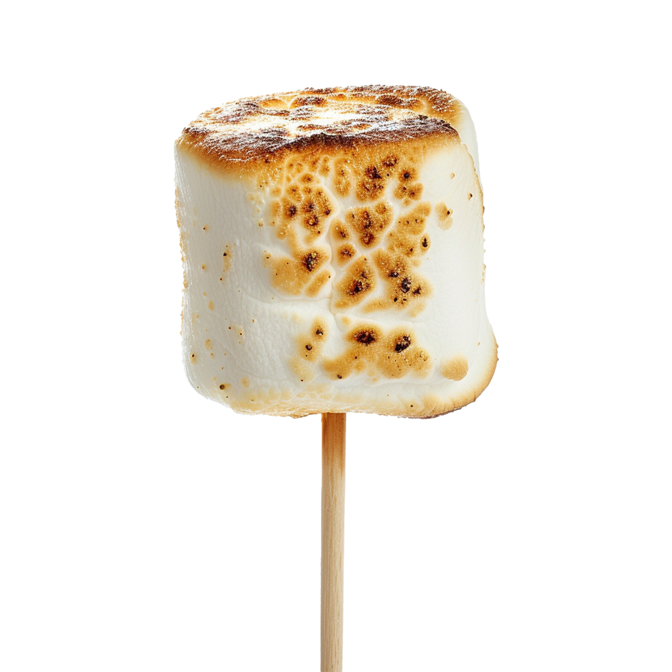 Toasted marshmallow on a stick isolated on transparent background png