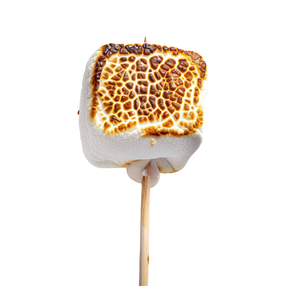 Toasted marshmallow on a stick isolated on transparent background png