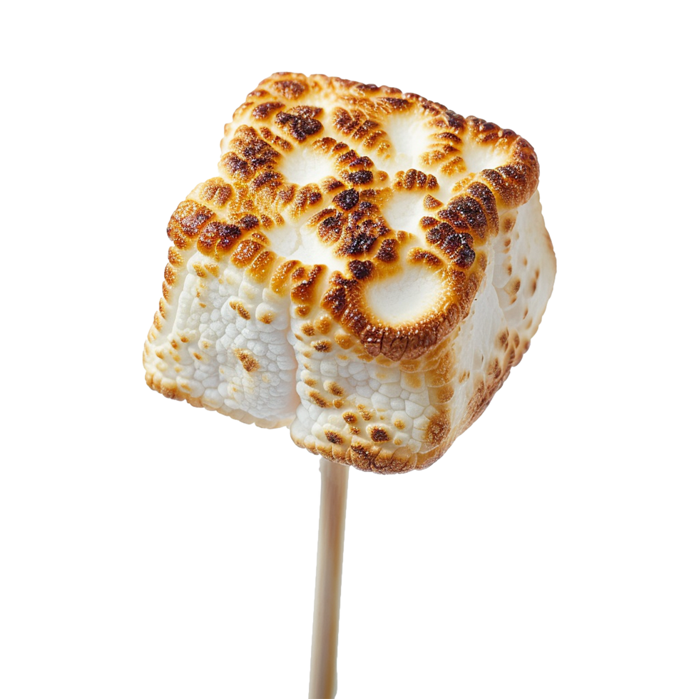 Toasted marshmallow on a stick isolated on transparent background png