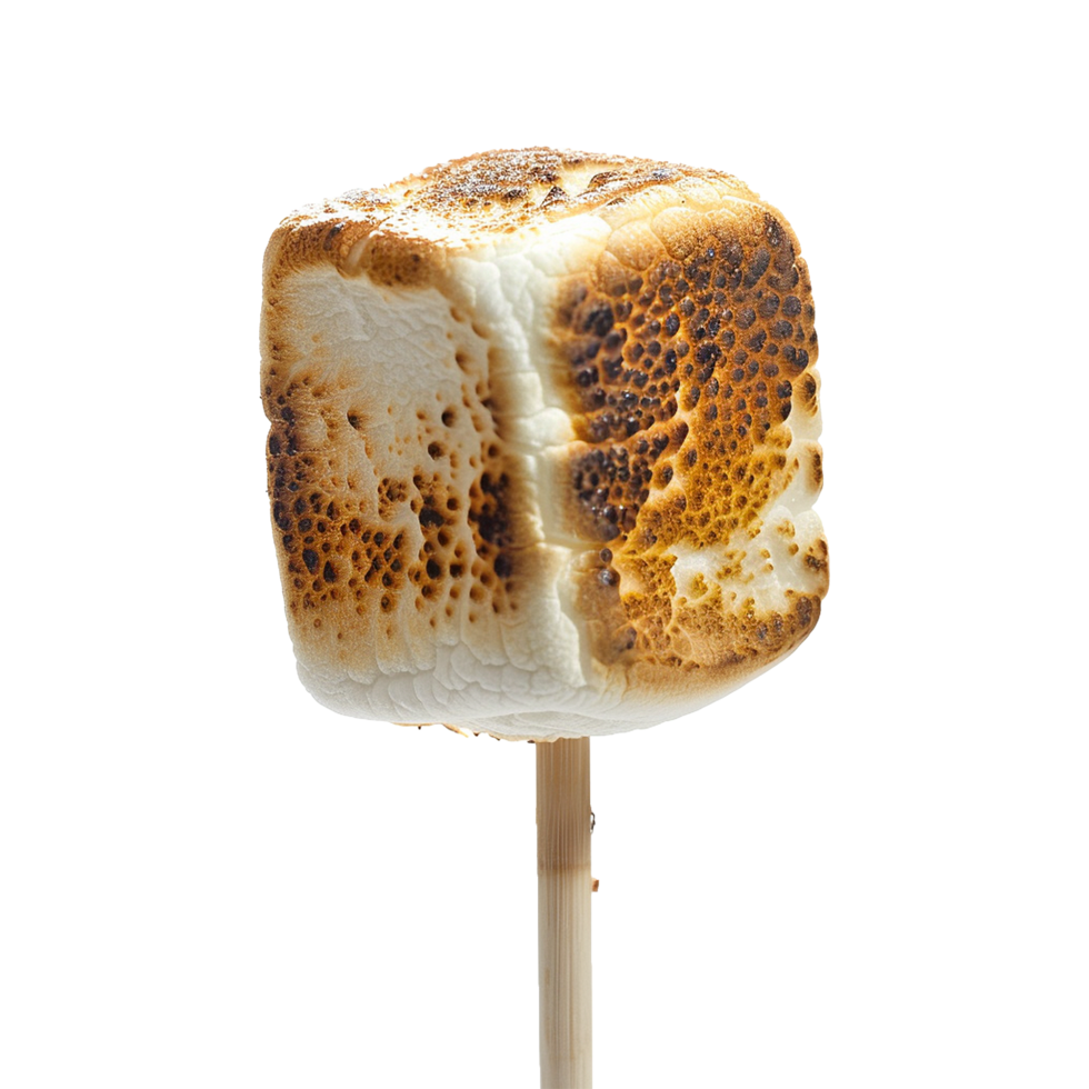 Toasted marshmallow on a stick isolated on transparent background png