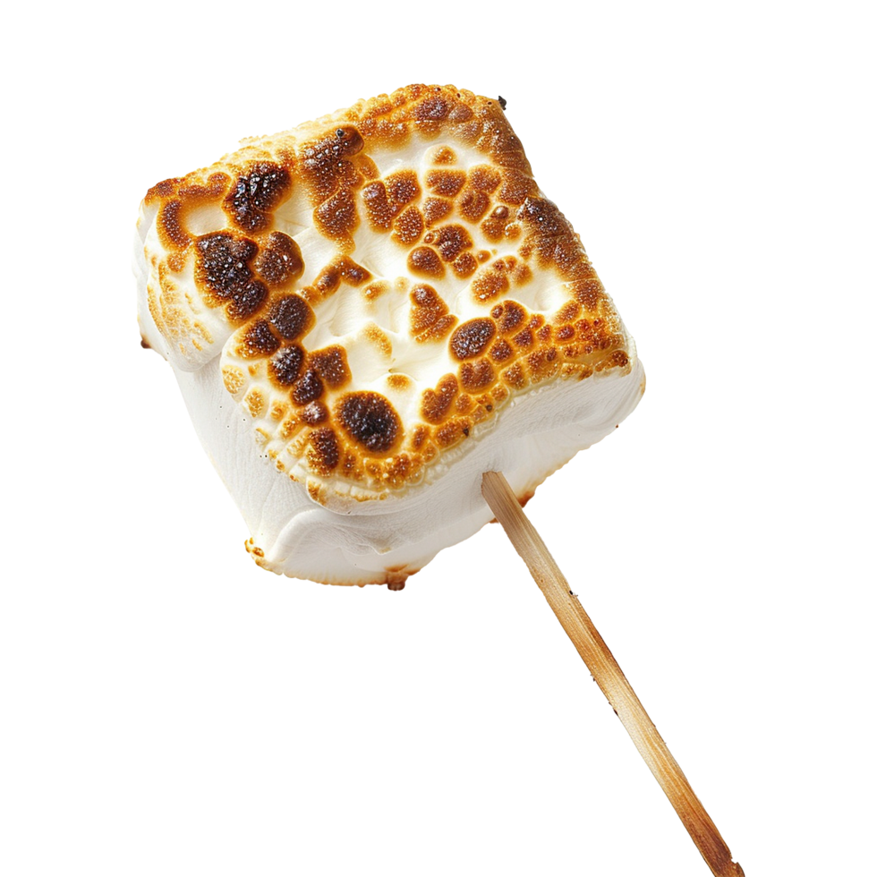 Toasted marshmallow on a stick isolated on transparent background png