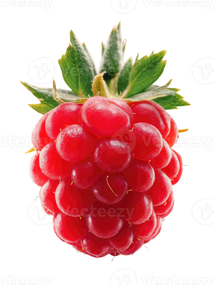 A Single Strawberry with Stem and Leaves png