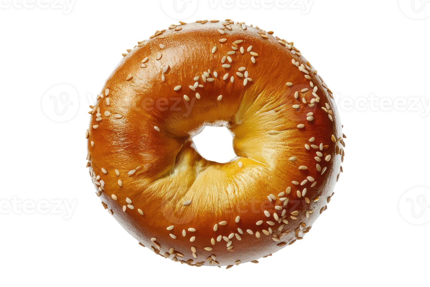 Classic Sesame Seed Bagel png