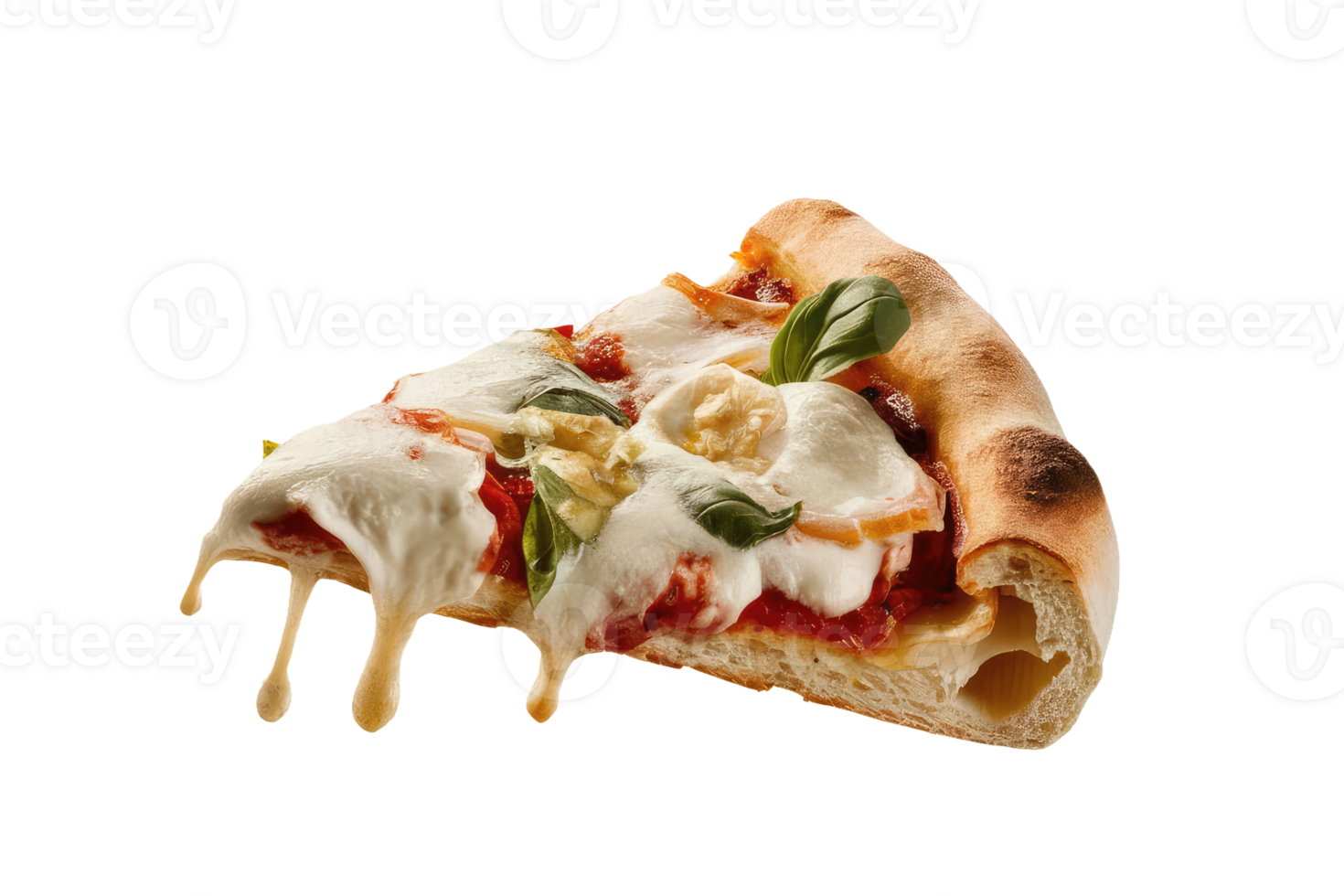 isolated pizza on transparent background png