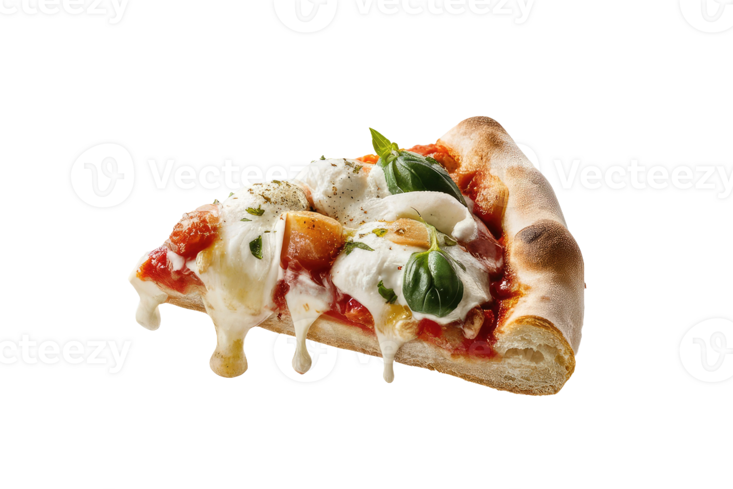isolated pizza on transparent background png