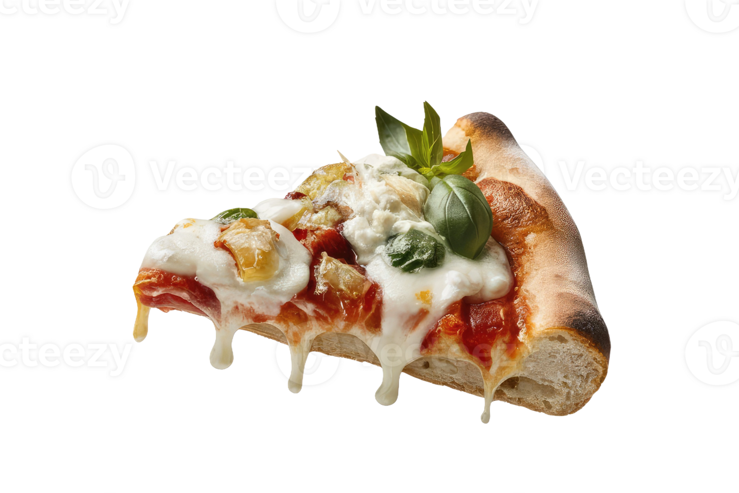 isolated pizza on transparent background png