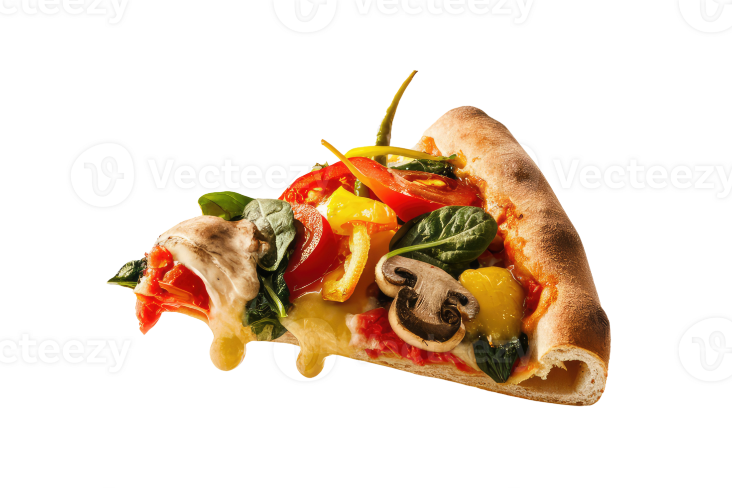 isolated pizza on transparent background png