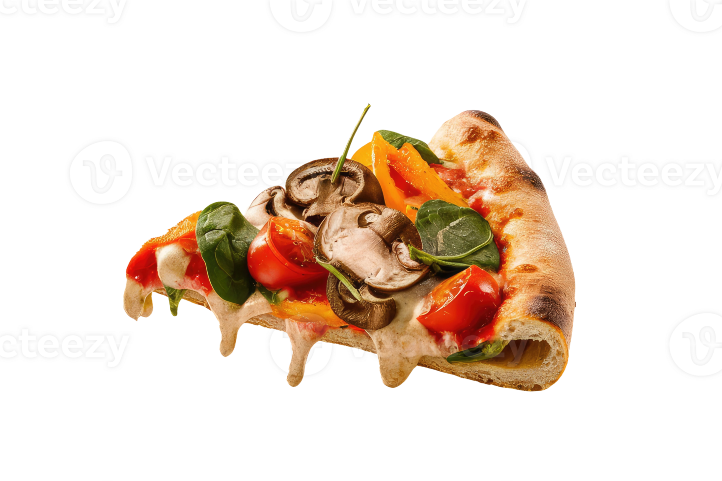isolated pizza on transparent background png