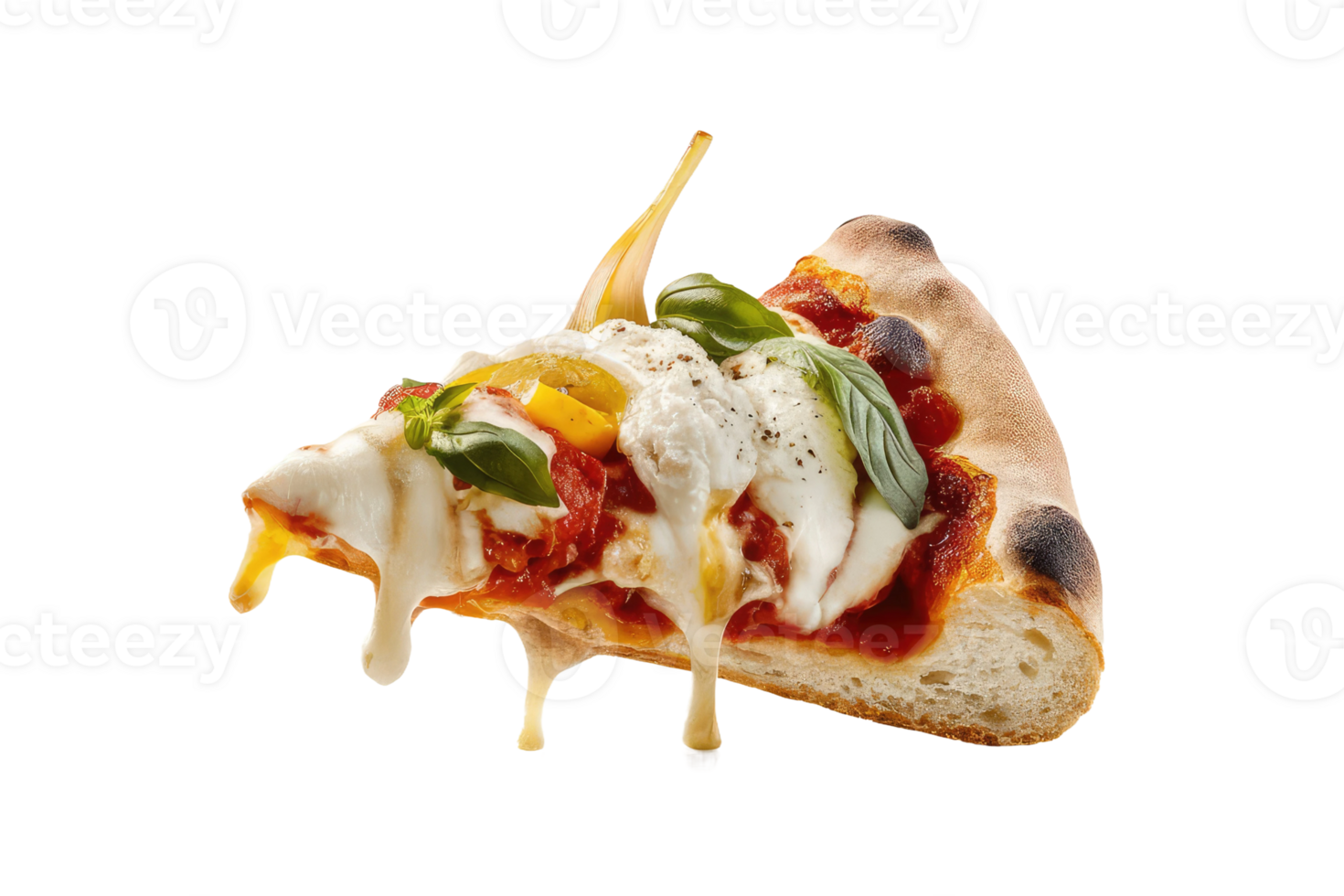 isolated pizza on transparent background png