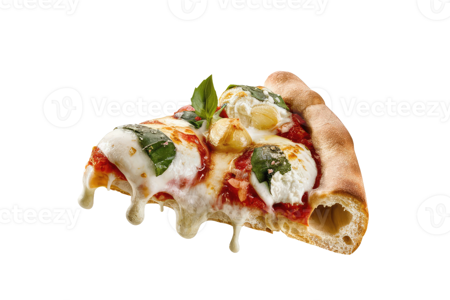 isolated pizza on transparent background png
