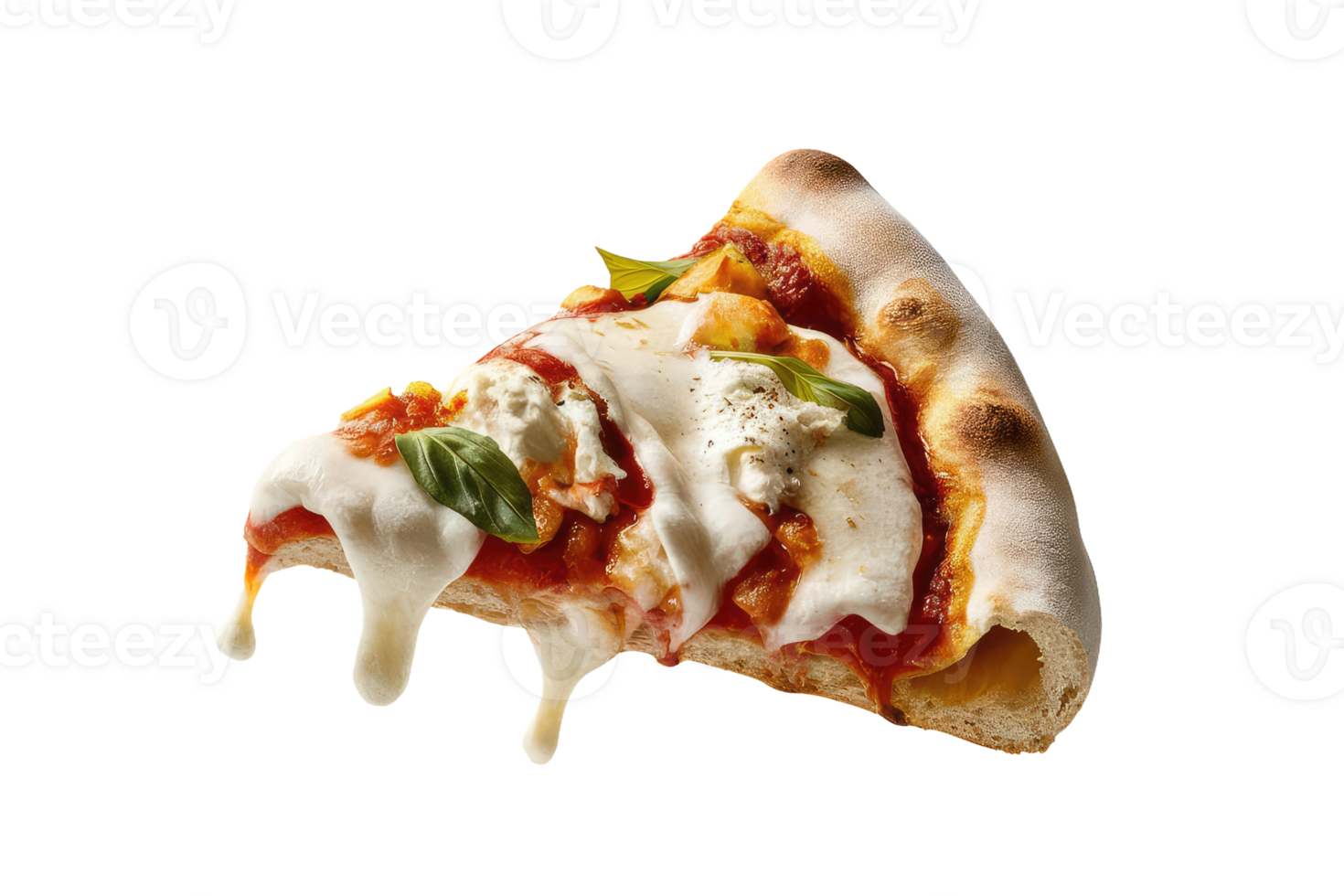 isolated pizza on transparent background png