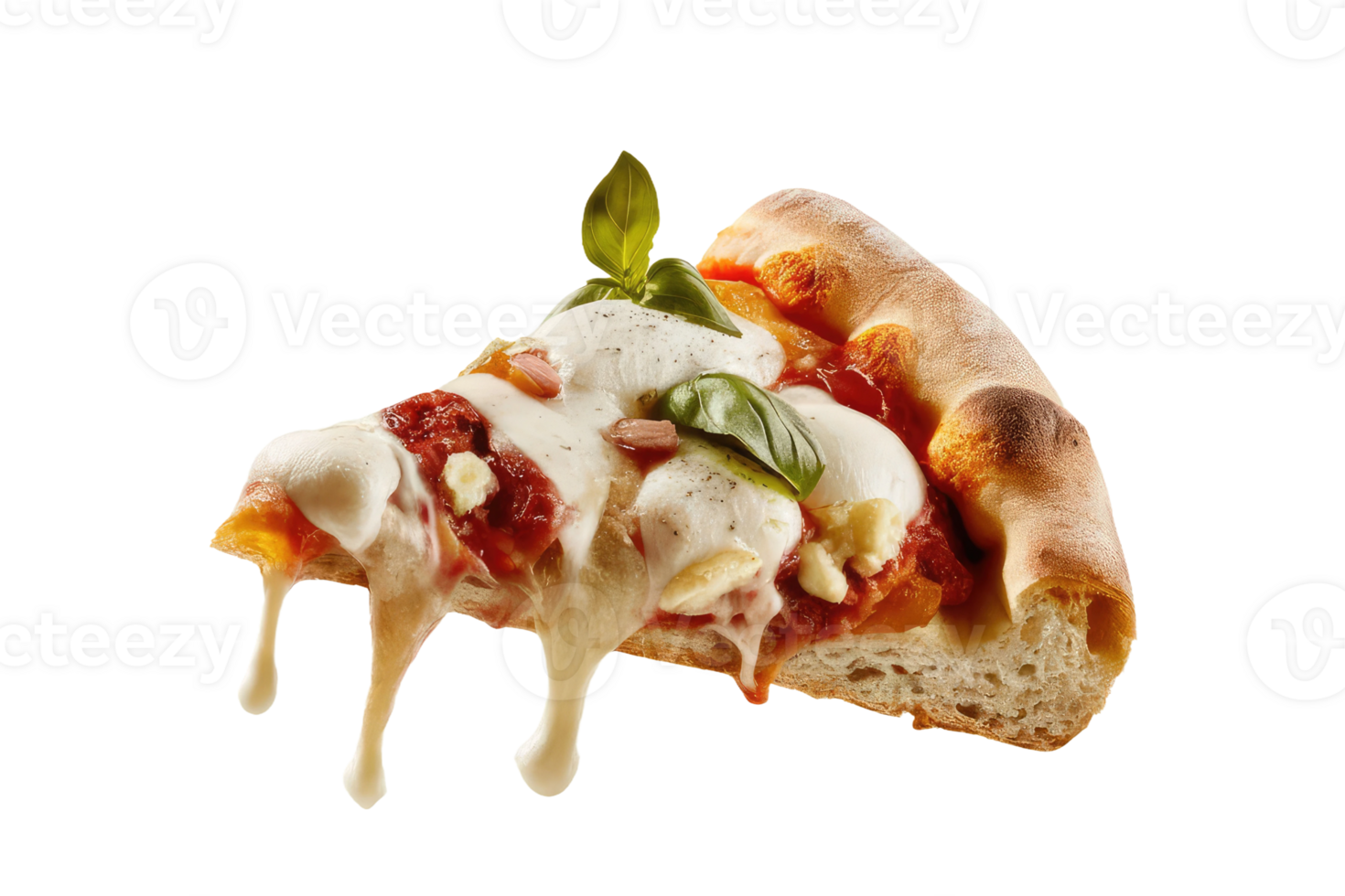 isolated pizza on transparent background png