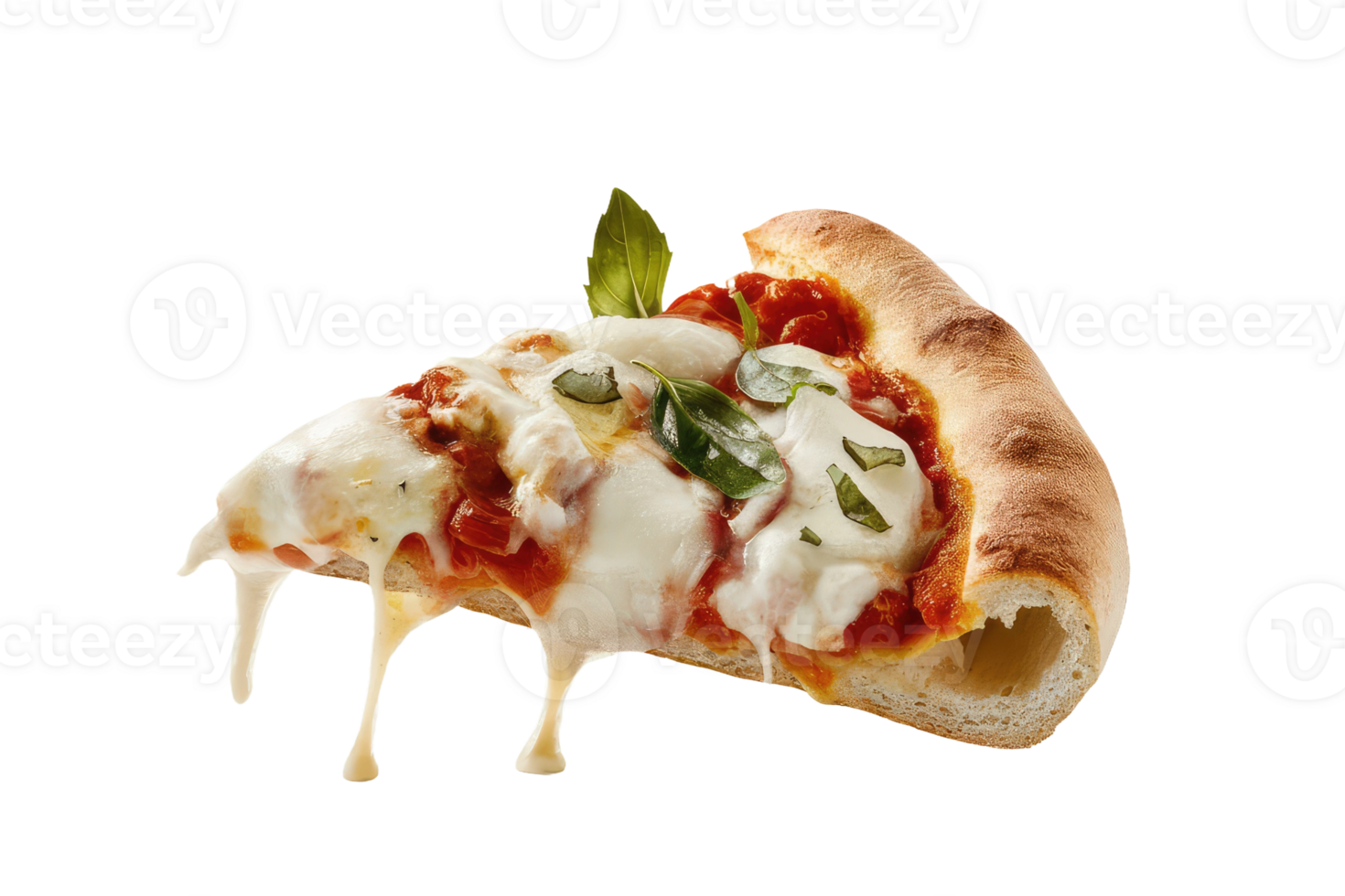 isolated pizza on transparent background png