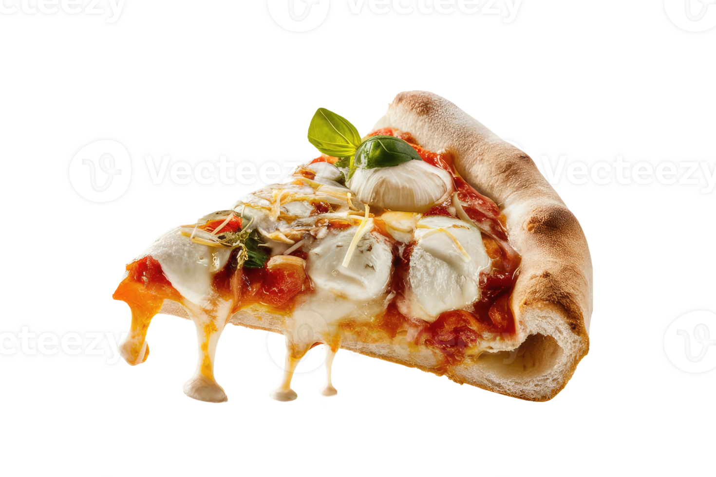 isolated pizza on transparent background png