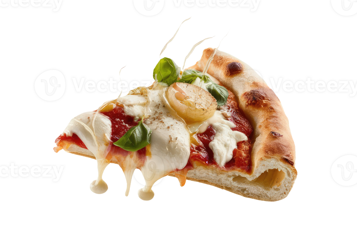 isolated pizza on transparent background png