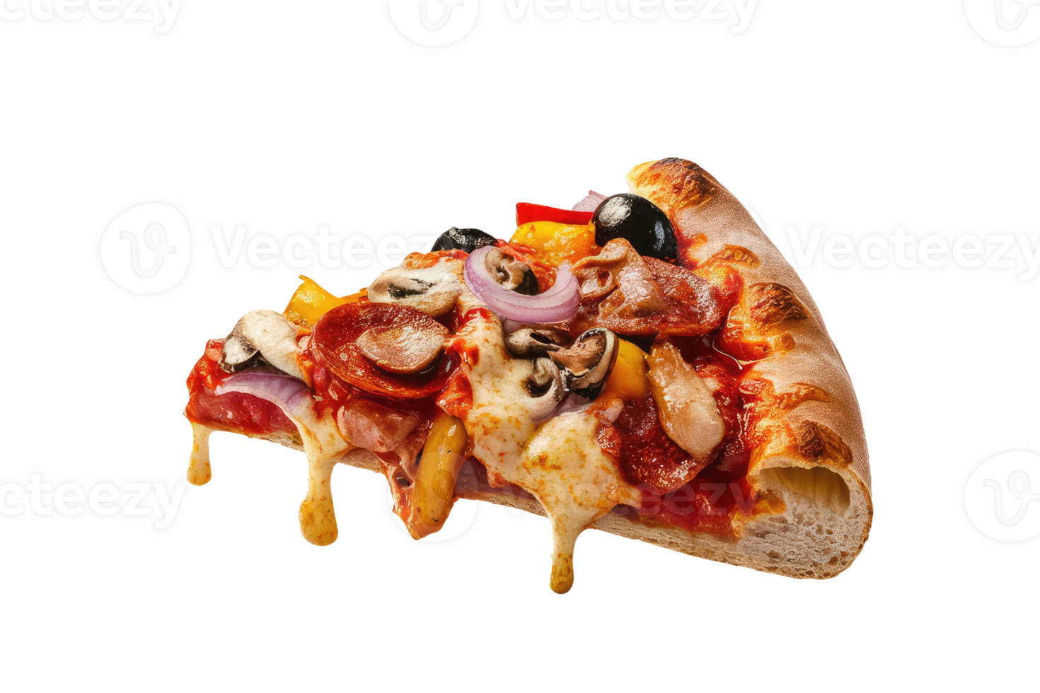 isolated pizza on transparent background png