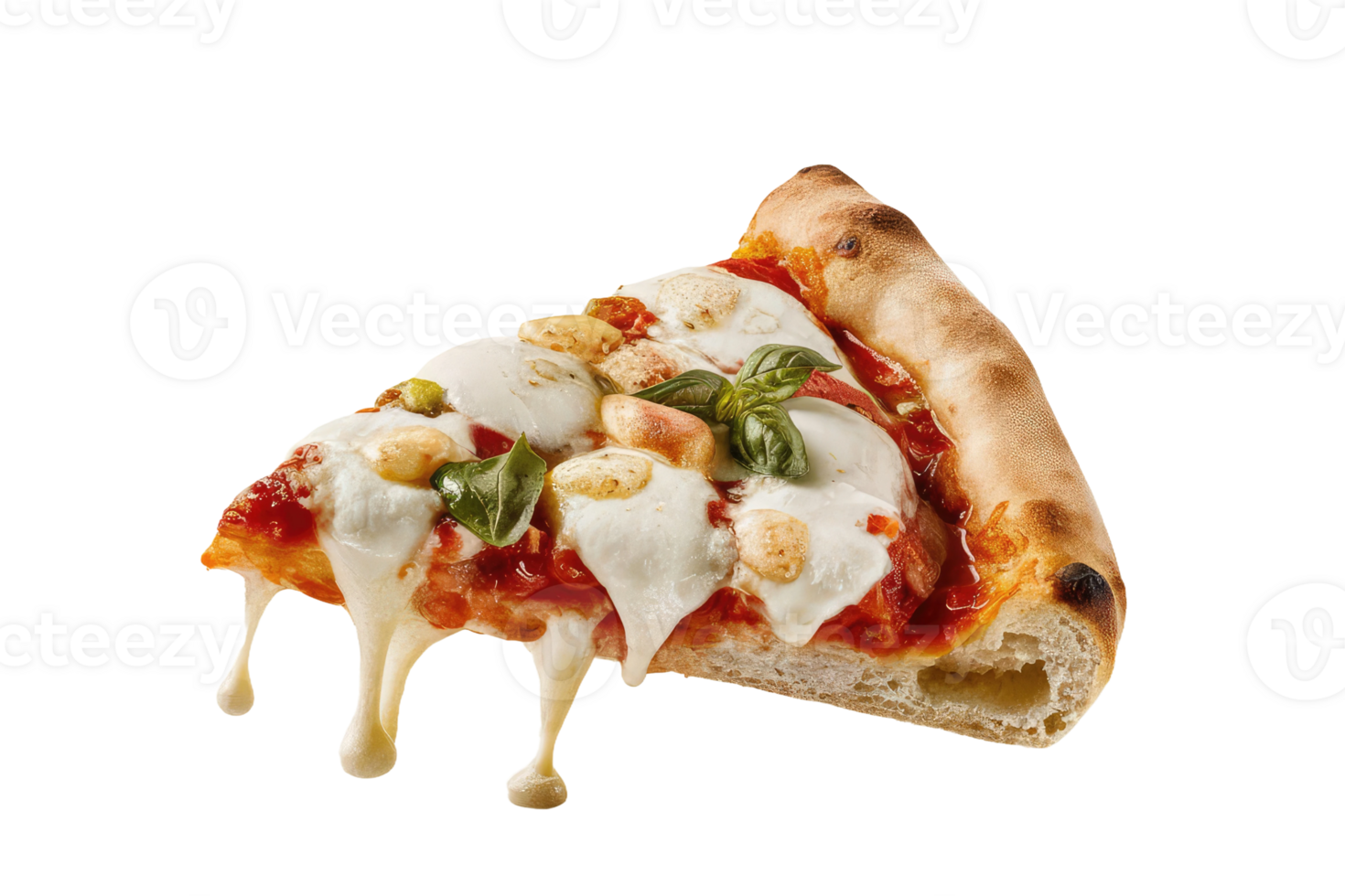 isolated pizza on transparent background png