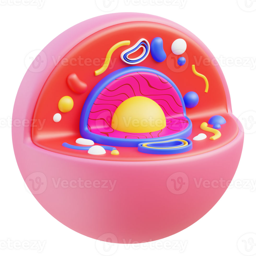 Cell 3d illustration png