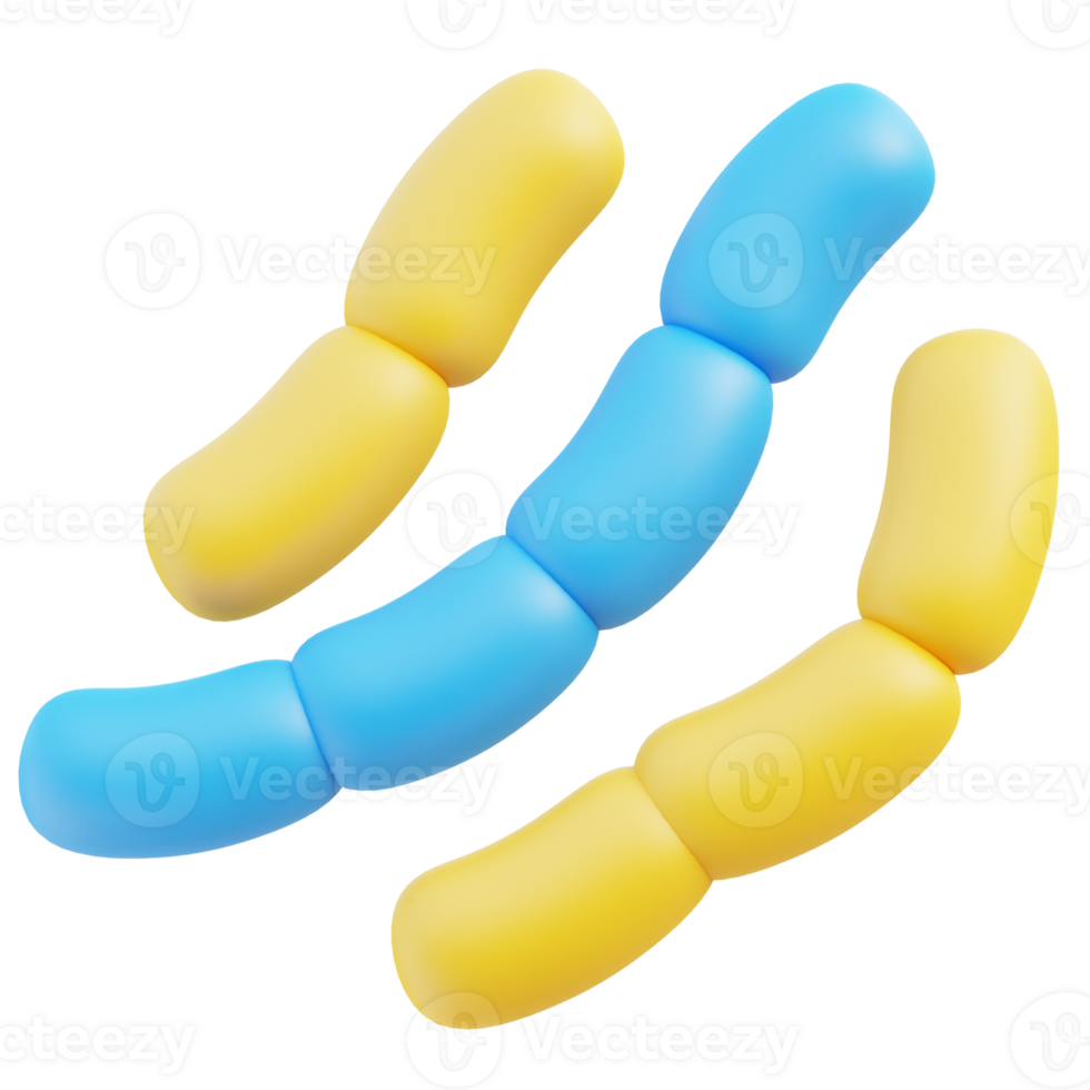 Streptobacillus Moniliformis 3d illustration png