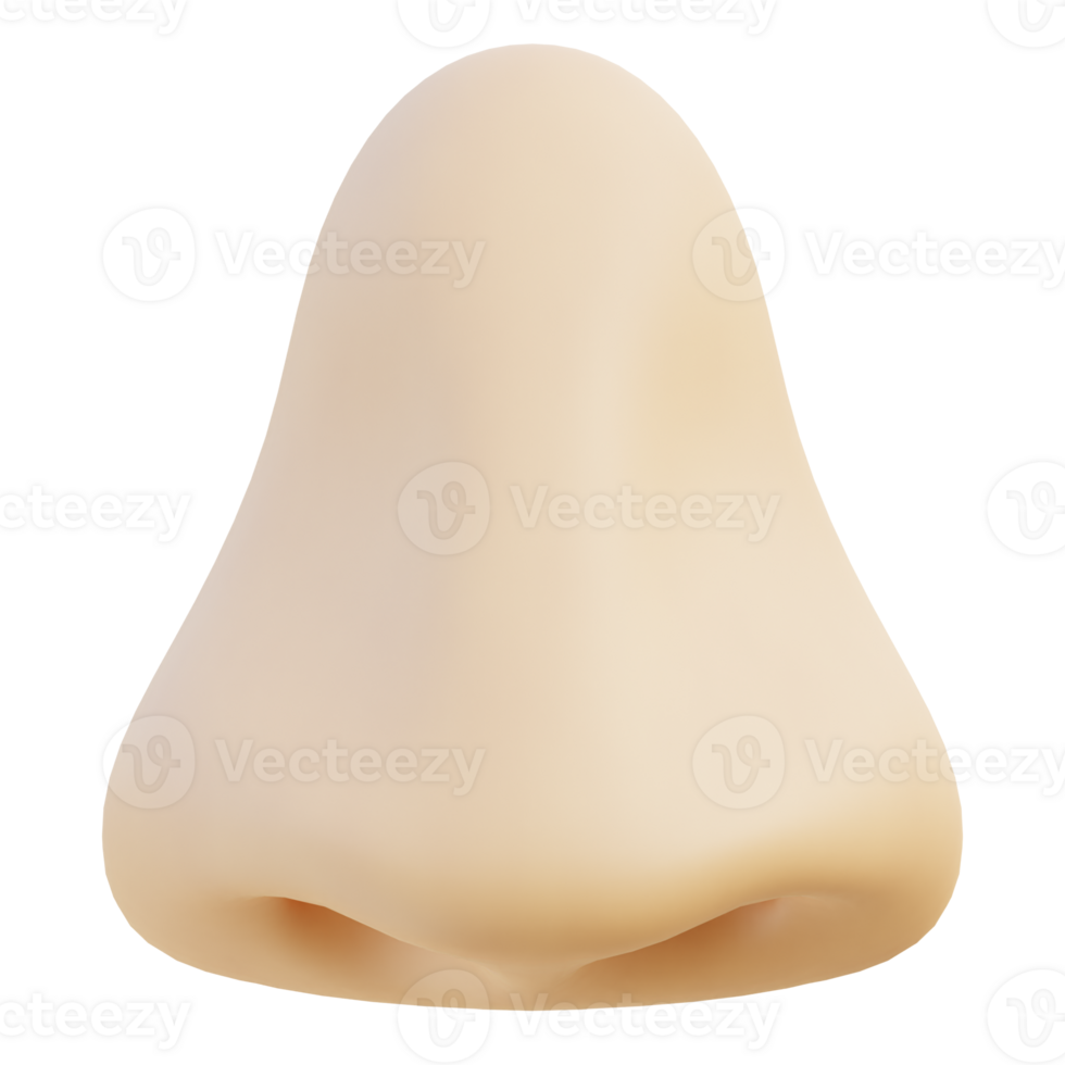 Nose 3d illustration png