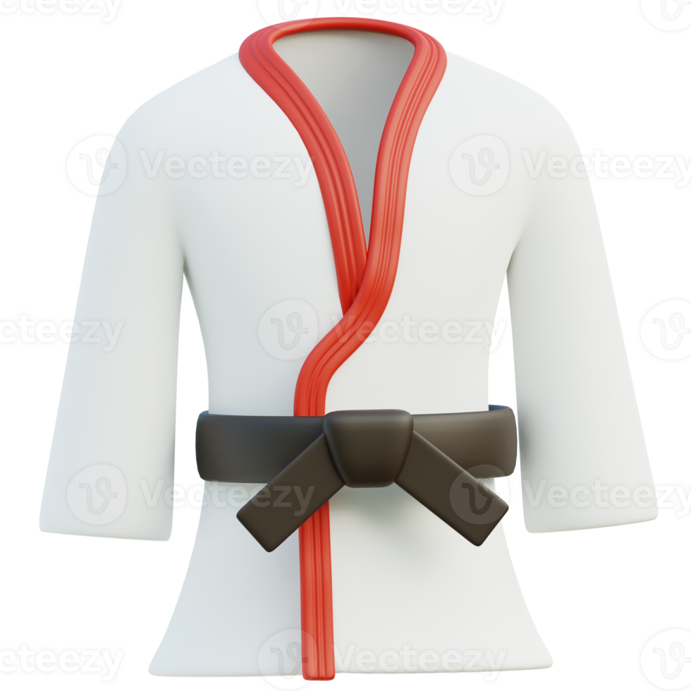 Karate 3d illustration png