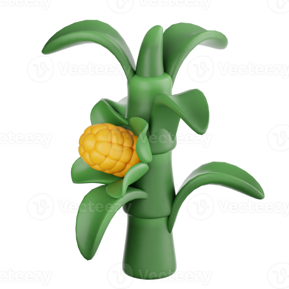 Corn Stalk 3d illustration png