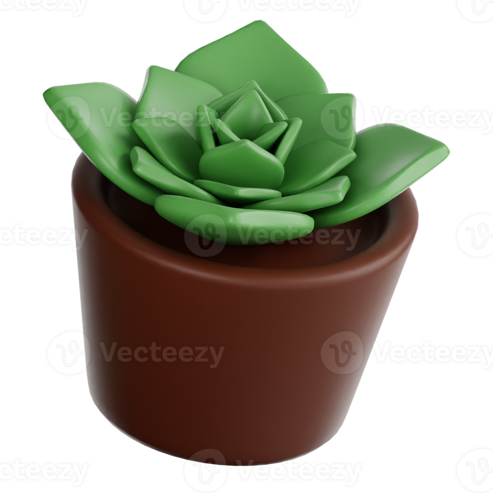 Haworthia Cymbiformis Plant 3d illustration png