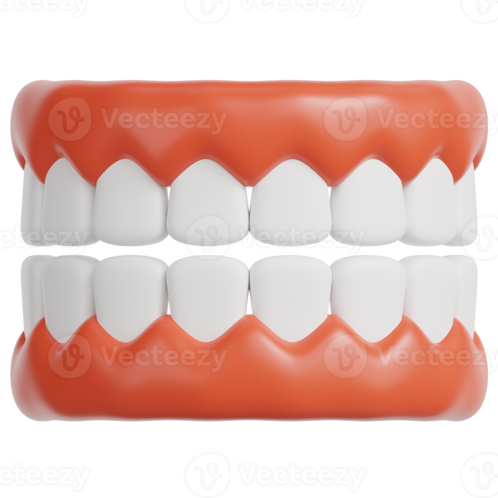 Denture 3d illustration png