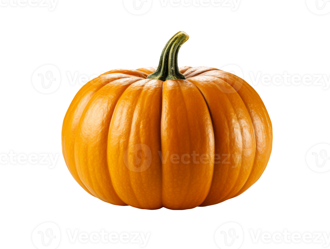 pumpkin isolated object png