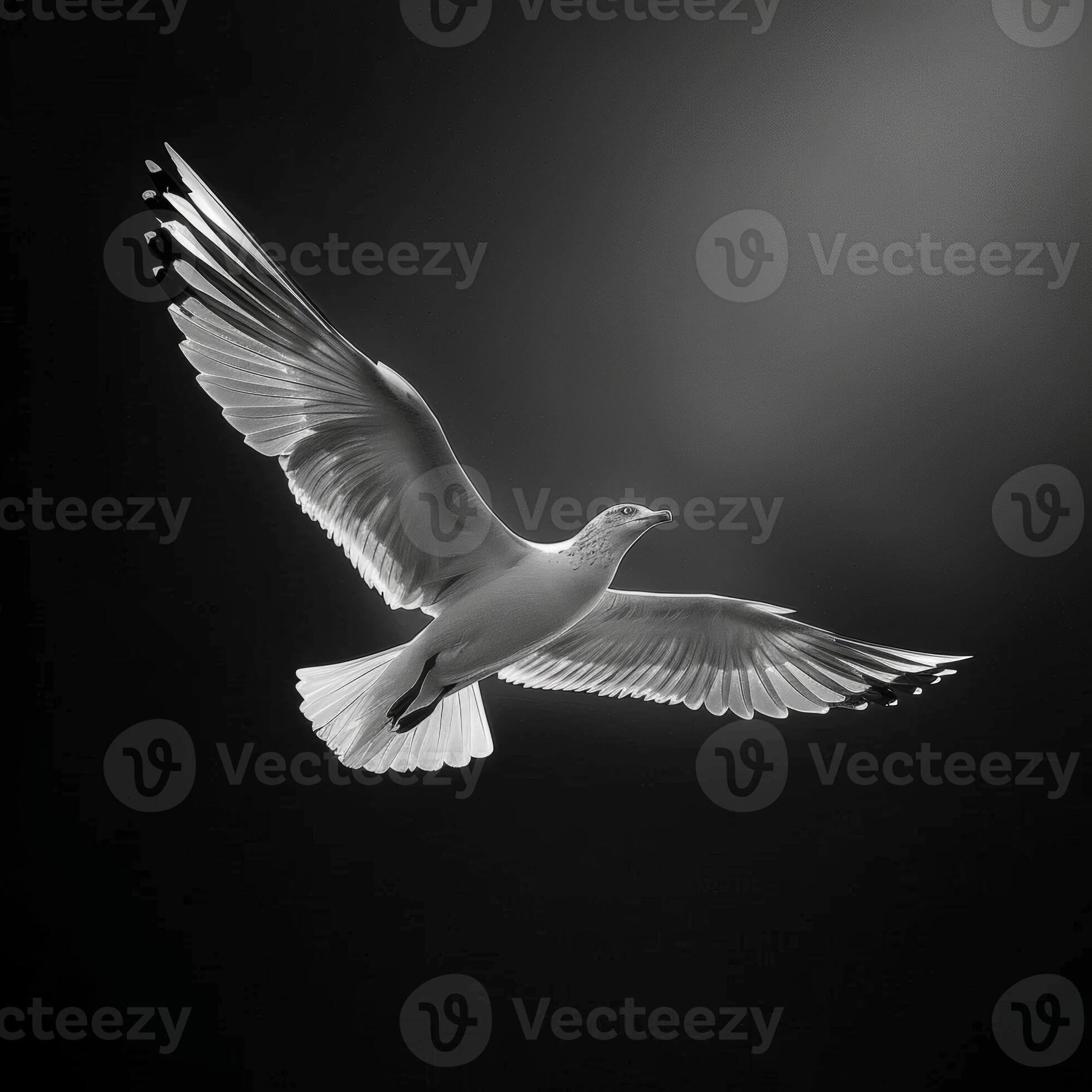 The grace and power of a birds wingspan captured in a monochromatic