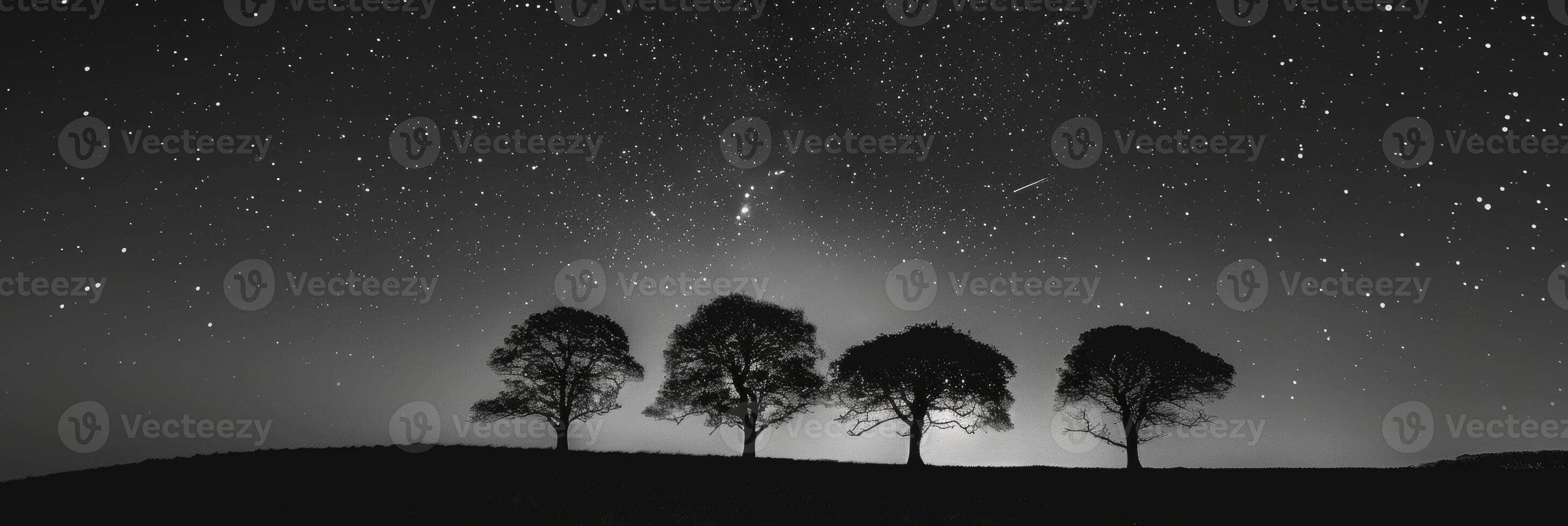 Against the backdrop of a starry night sky the silhouettes of the trees danced in the gentle breeze. Black and white art. photo