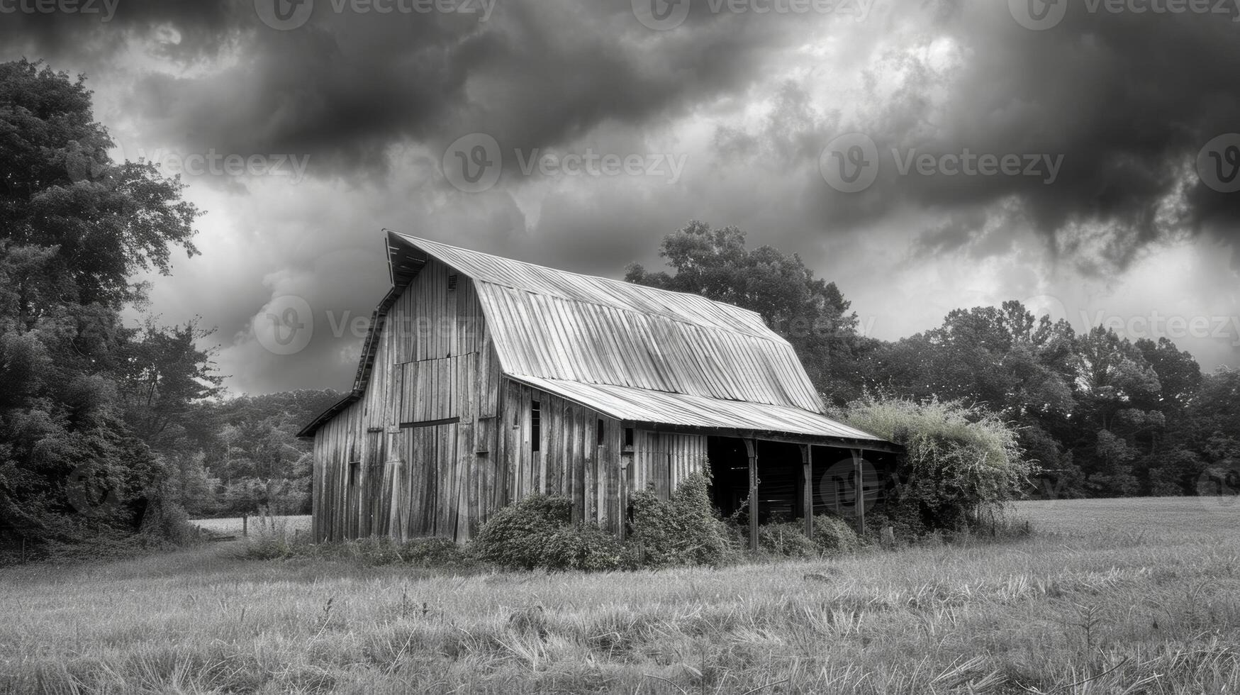 Sitting at the edge of a lush green field the old barn stands as a silent witness to the passing of time. Black and white art. photo