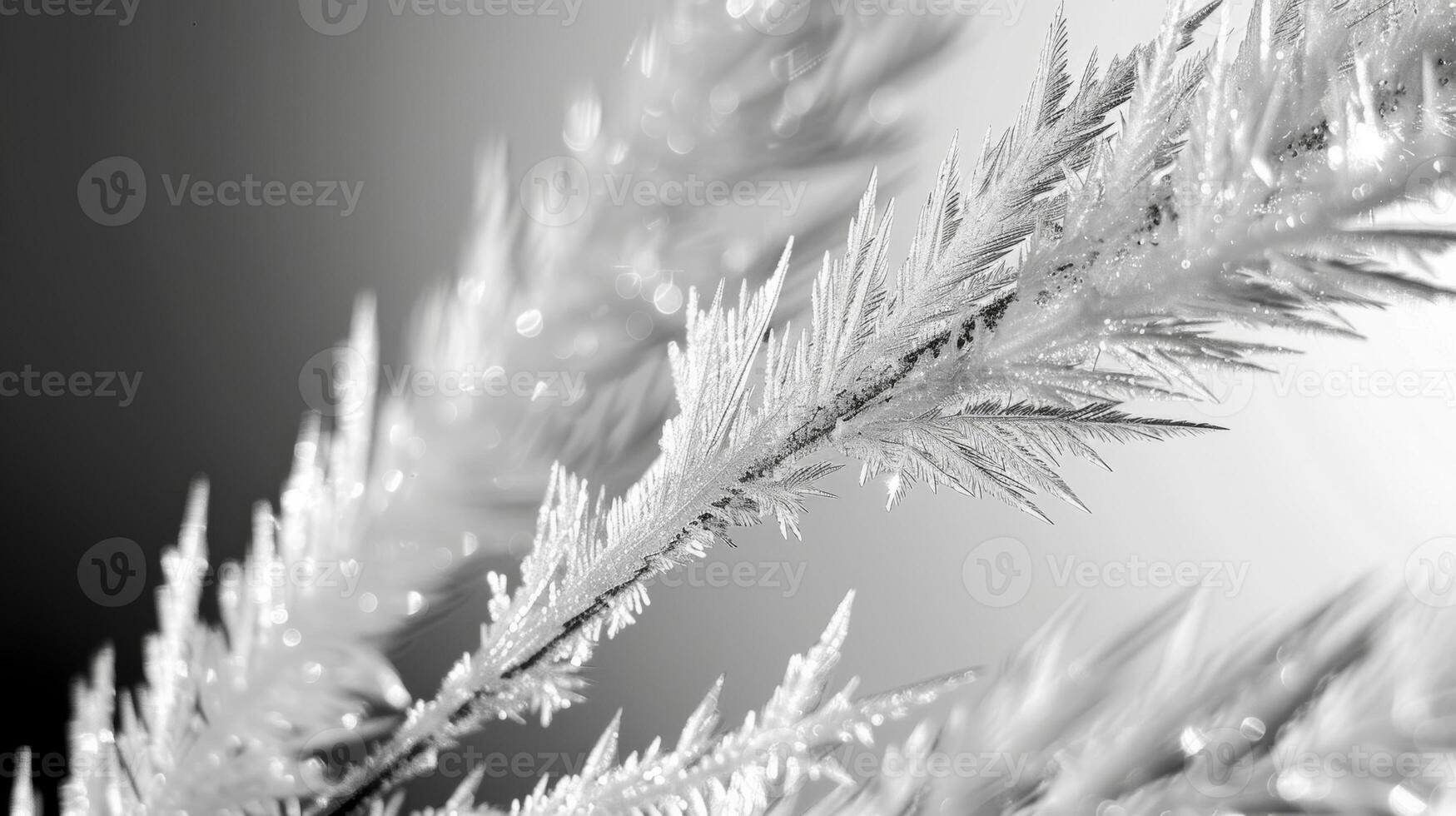 The glass is a canvas for a frost masterpiece with every brushstroke precisely p. Black and white art. photo