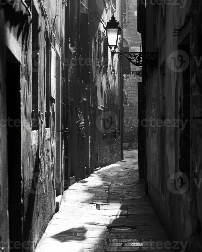 The soft glow of the street lamp casts long shadows adding to the mystery of the narrow alleyway. Black and white art. photo