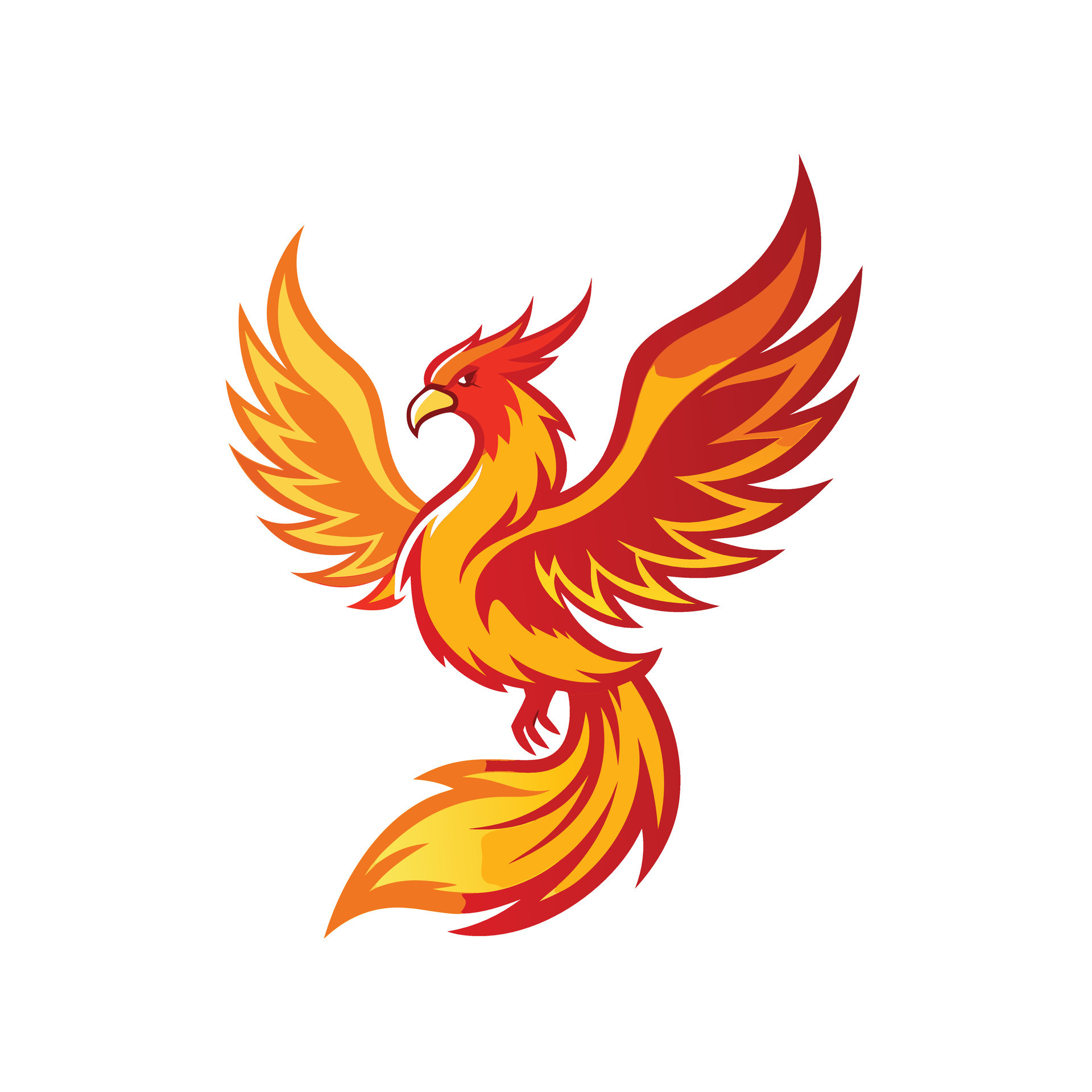 Phoenix logo template 47256480 Vector Art at Vecteezy