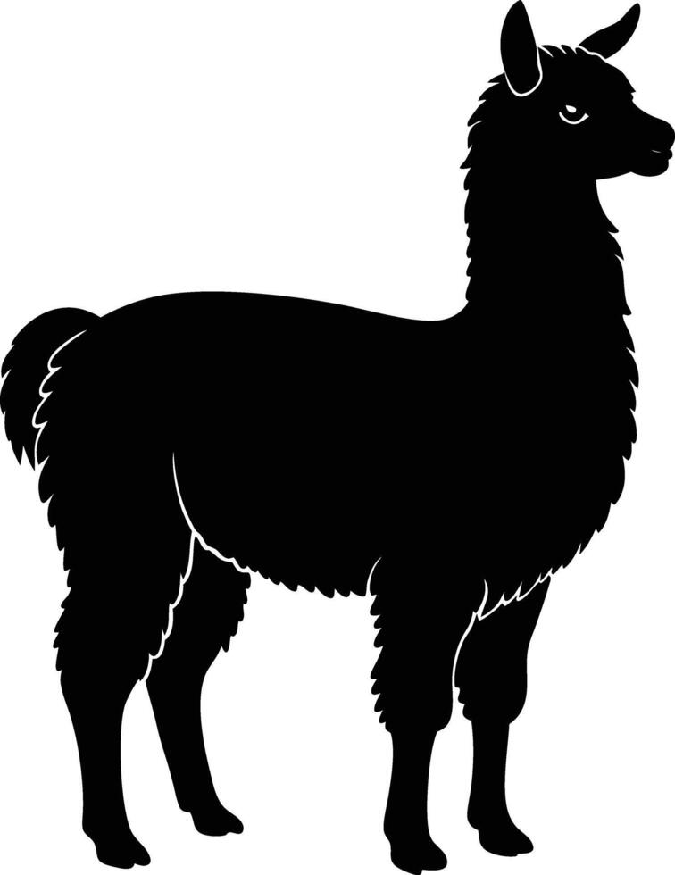 Black silhouette of a llama on a white background vector