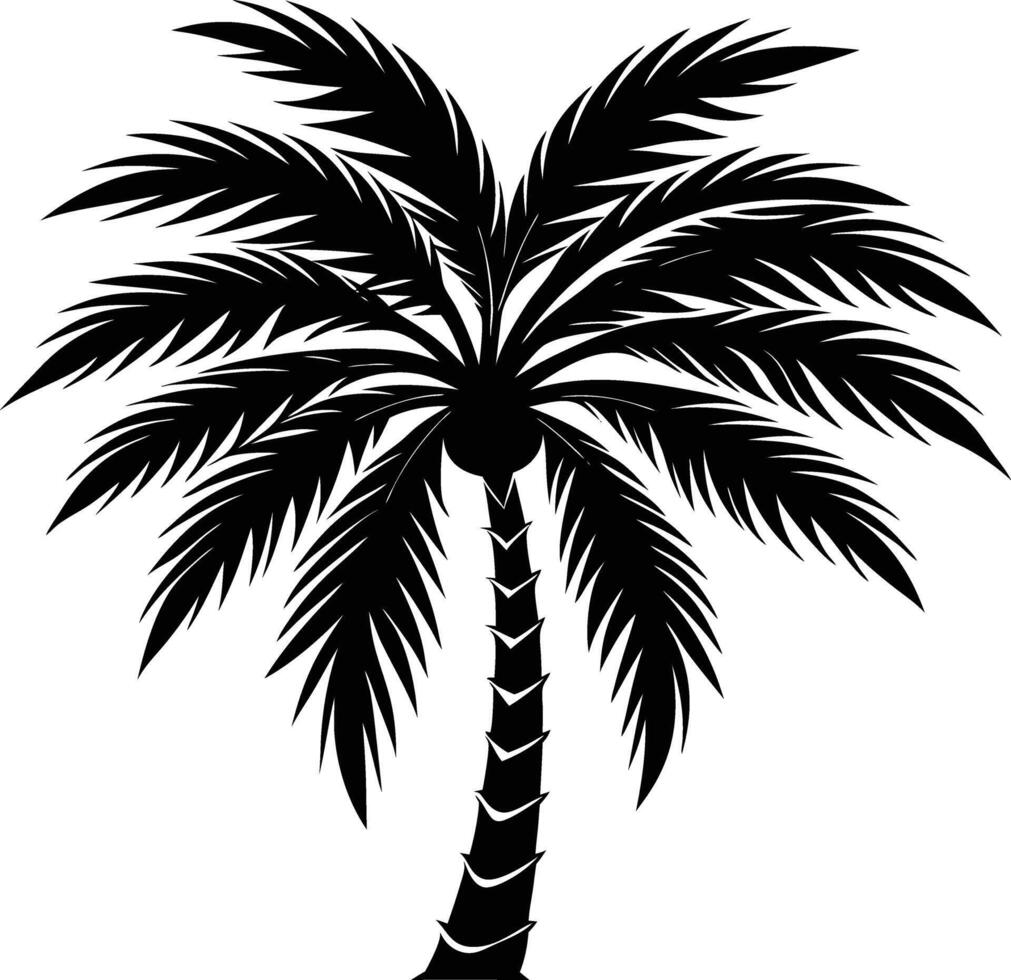 A black palm tree silhouette isolated on white background vector